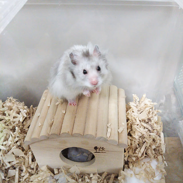 yukieさんの実例写真