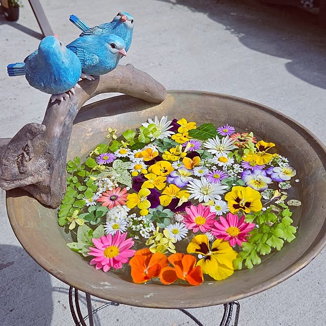 mocomocoさんの実例写真