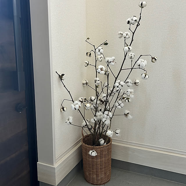 neesan-ishiharaさんの実例写真