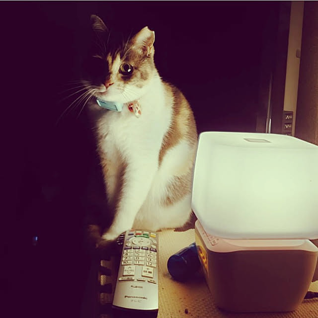 fukuさんの実例写真