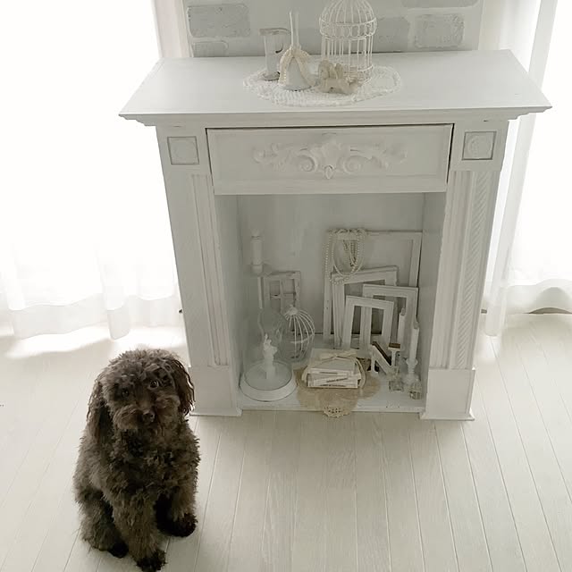 noelさんの実例写真