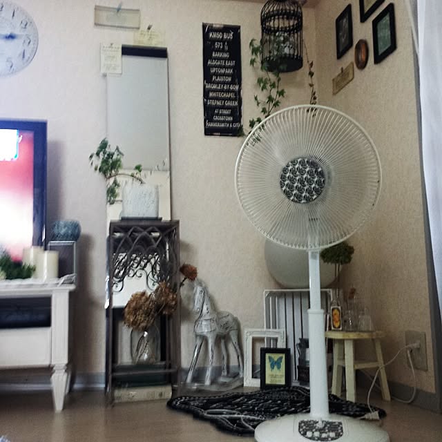 cottonさんの実例写真