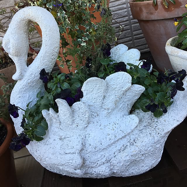 sanw2225719さんの実例写真