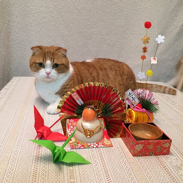 部屋全体/新年のご挨拶/謹賀新年/ねこのいる風景/愛猫...などのインテリア実例 - 2016-01-05 11:51:11