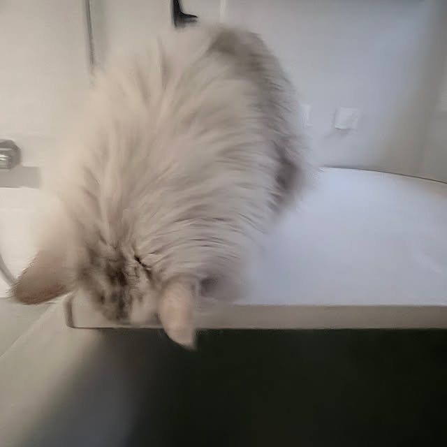 mya___kさんの部屋