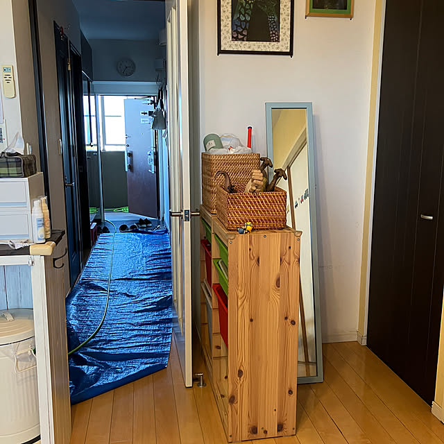 koshiregutyoさんの部屋