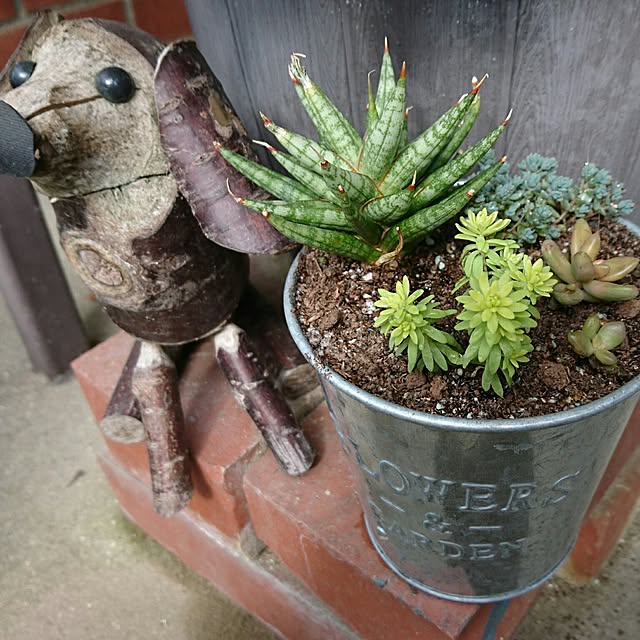 実例写真