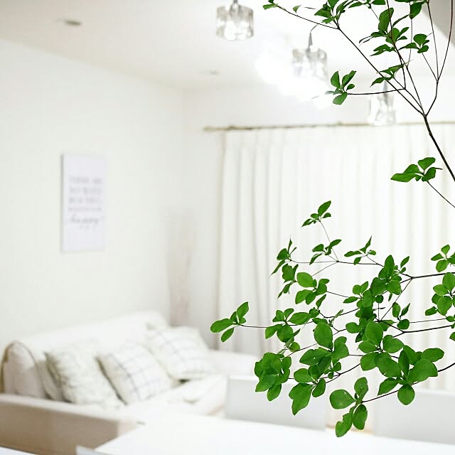 luv.white___さんの実例写真