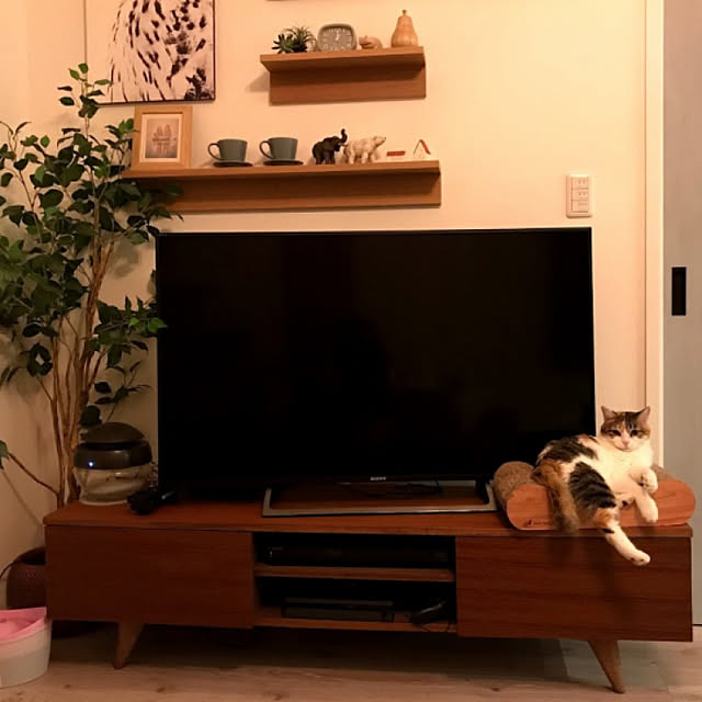 puniyumiさんの実例写真