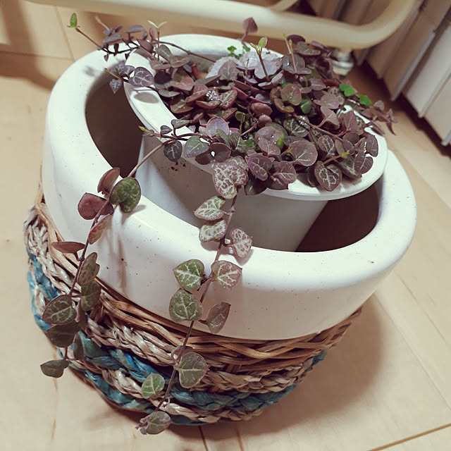 joninoriさんの実例写真