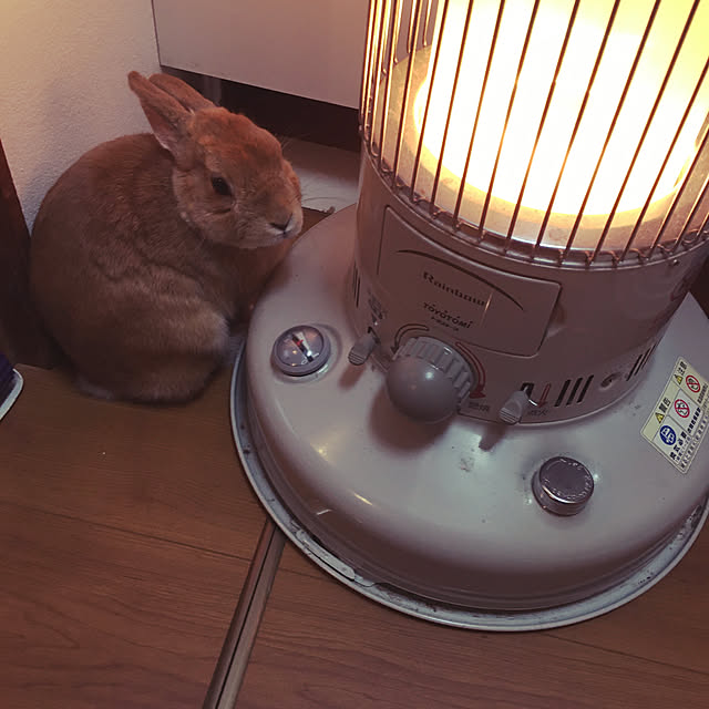 mimichankさんの実例写真