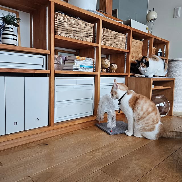 koyurizuさんの部屋