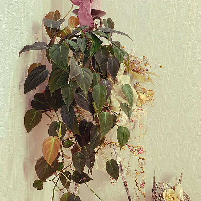 AYUKOさんの実例写真