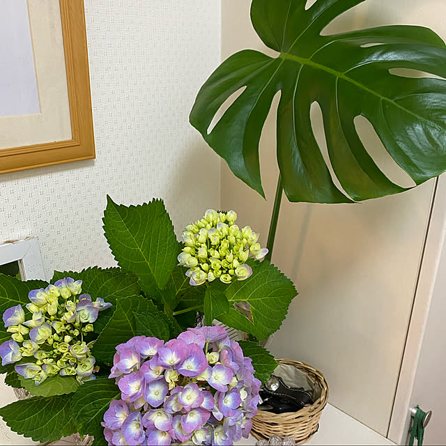 rinさんの実例写真