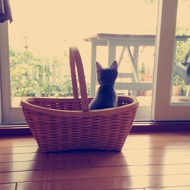 cinnamonさんの実例写真