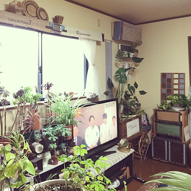 Norikoさんの実例写真