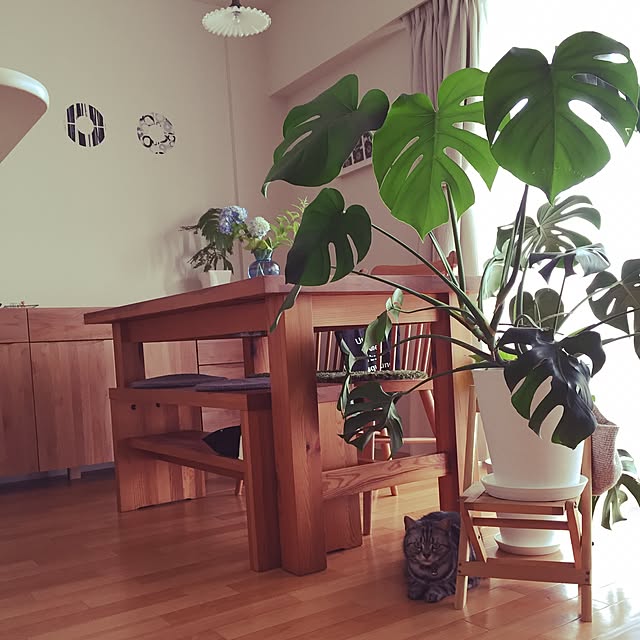 hiyupan88さんの実例写真