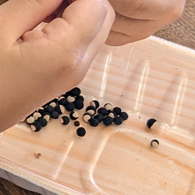 chiz3さんの部屋