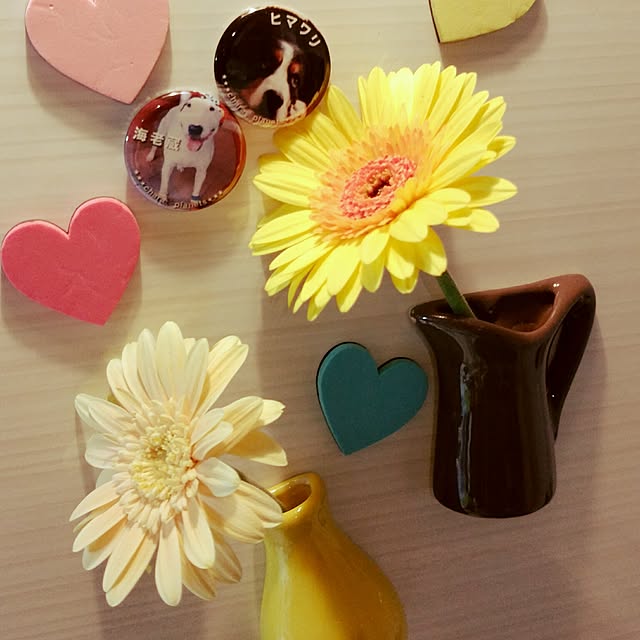 kimuneisanさんの実例写真