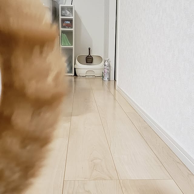 asahinaさんの部屋