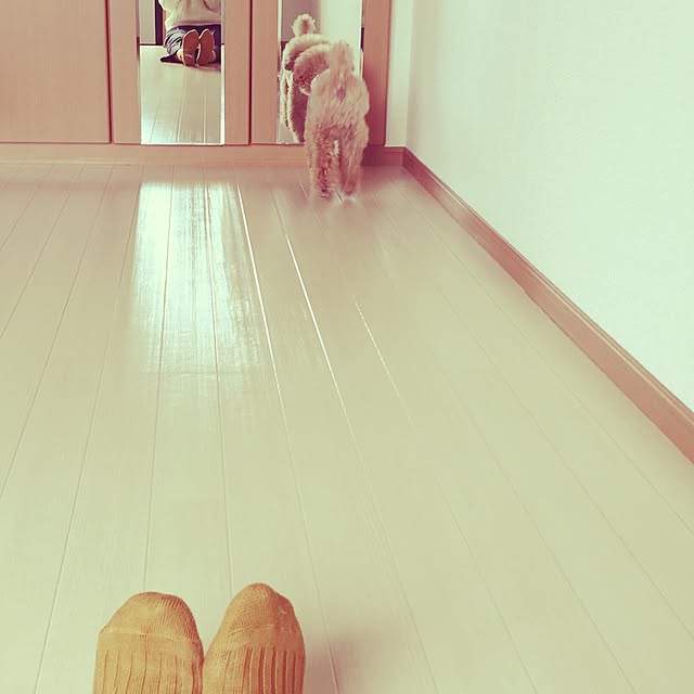 marさんの実例写真