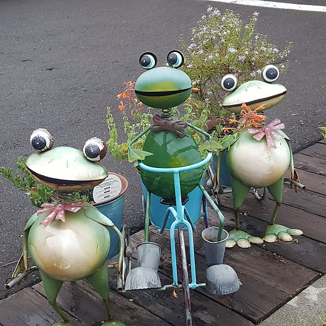 usakoさんの実例写真