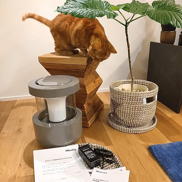 hagyu7kuroさんの部屋