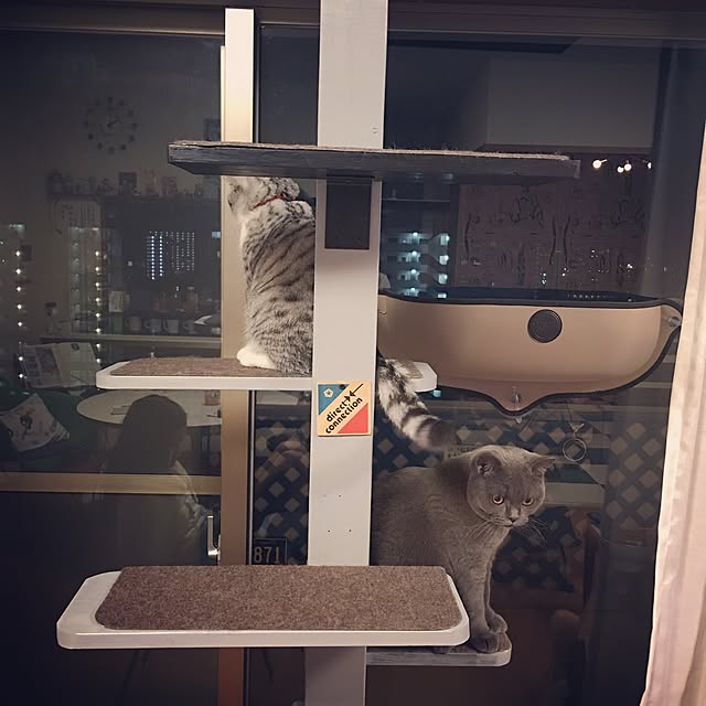 Shojiさんの実例写真