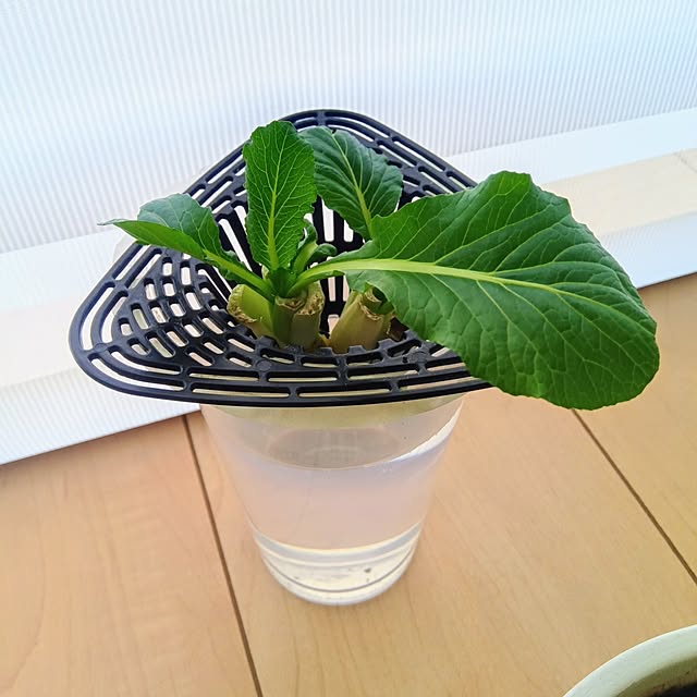 h.t.さんの実例写真