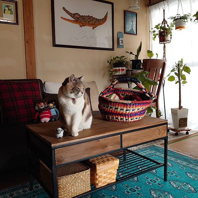 fukuさんの実例写真