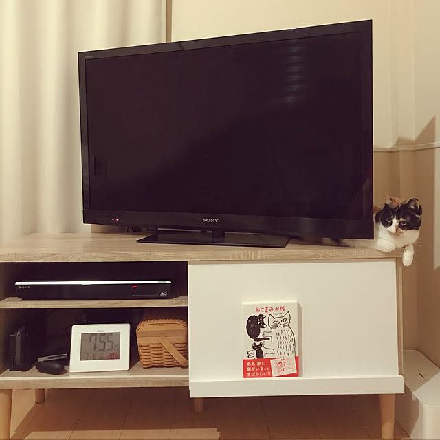 goomayuのIKEA (イケア)-ＩＫＥＡ/イケア POTTMAN：ケーブルマネジメントボックスふた付き ホワイト（904.652.31）の家具・インテリア写真