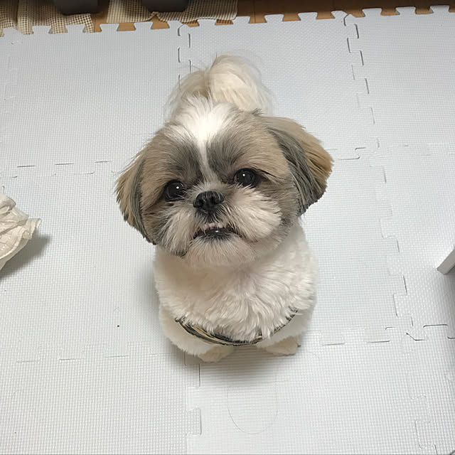 MOZURIKOさんの実例写真
