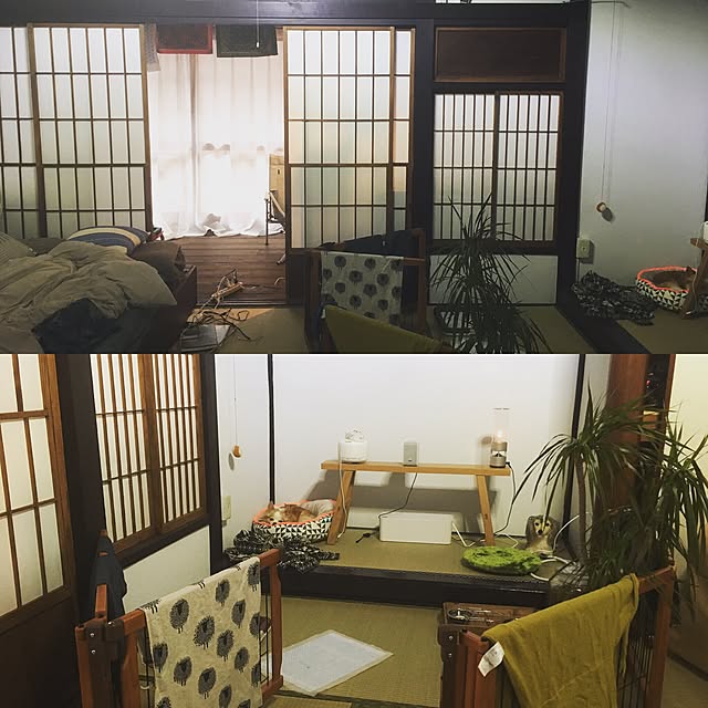 ken_c_loさんの実例写真