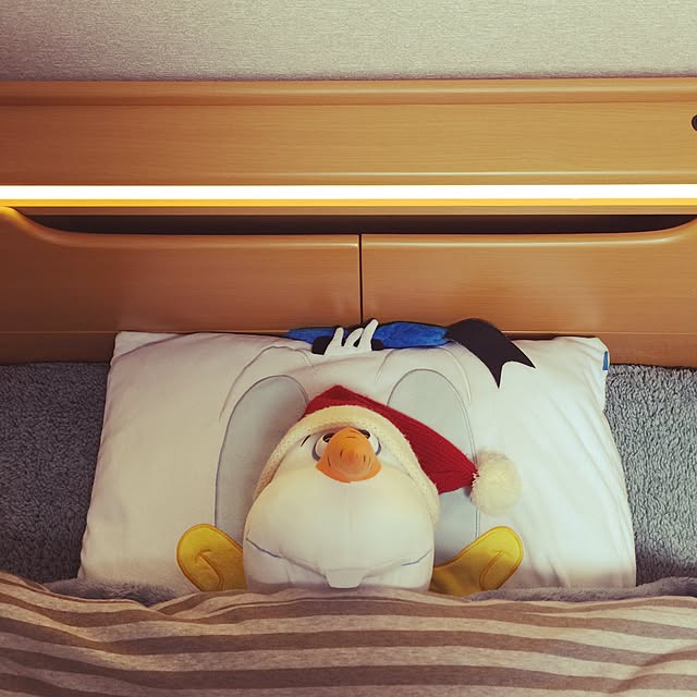 kittさんの実例写真
