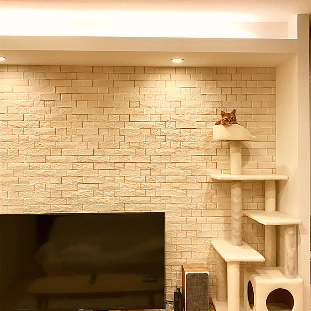 mapleさんの実例写真