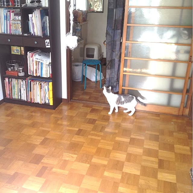 実例写真