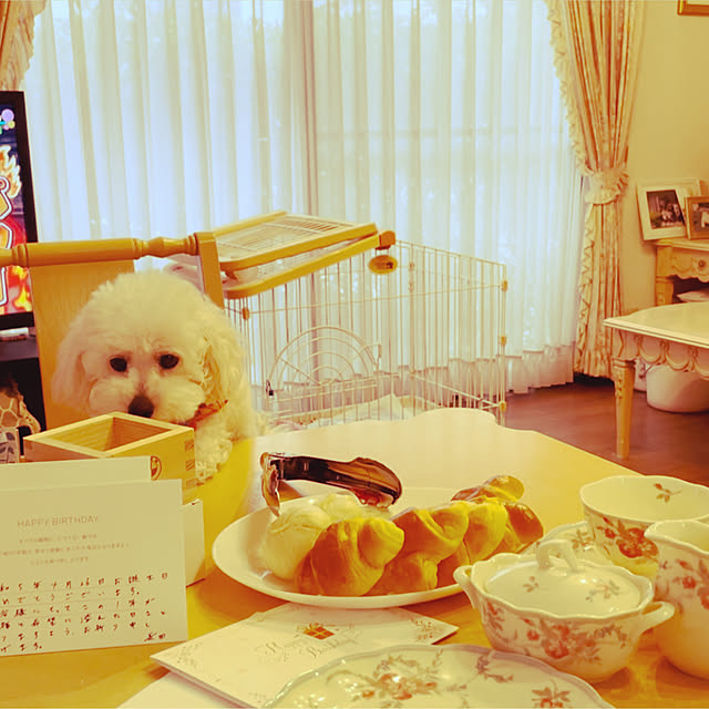 norikorinさんの実例写真