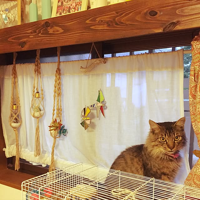 oniyomeさんの実例写真