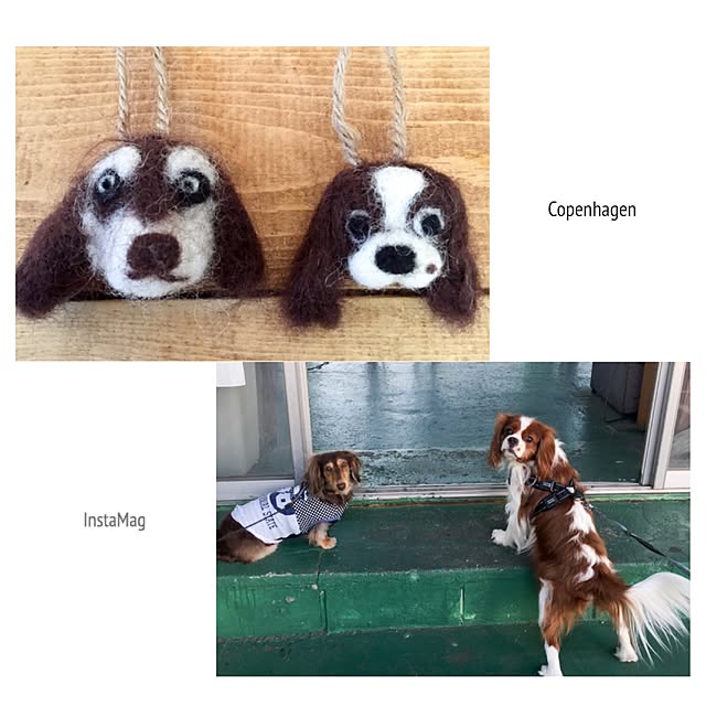 yupponさんの実例写真