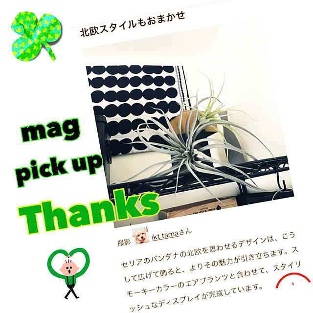 ikt.tamaさんの実例写真