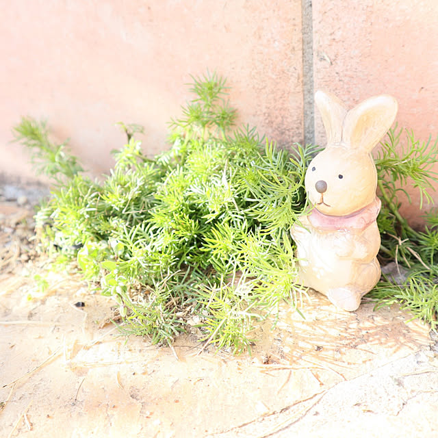 S.homeさんの実例写真