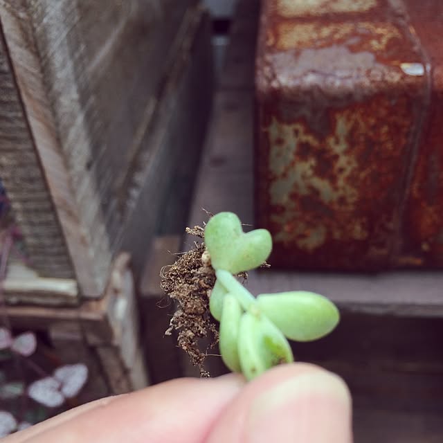 WORKER_Hiroさんの実例写真