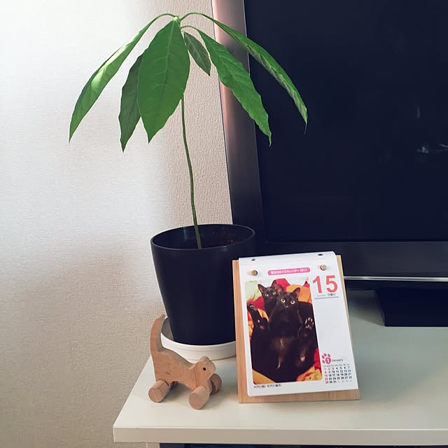 sora_sanさんの実例写真