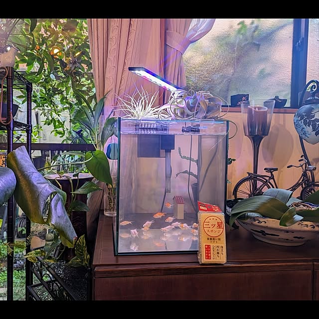 aromameさんの実例写真