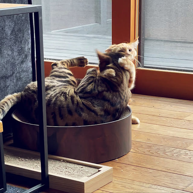 kabu10さんの実例写真