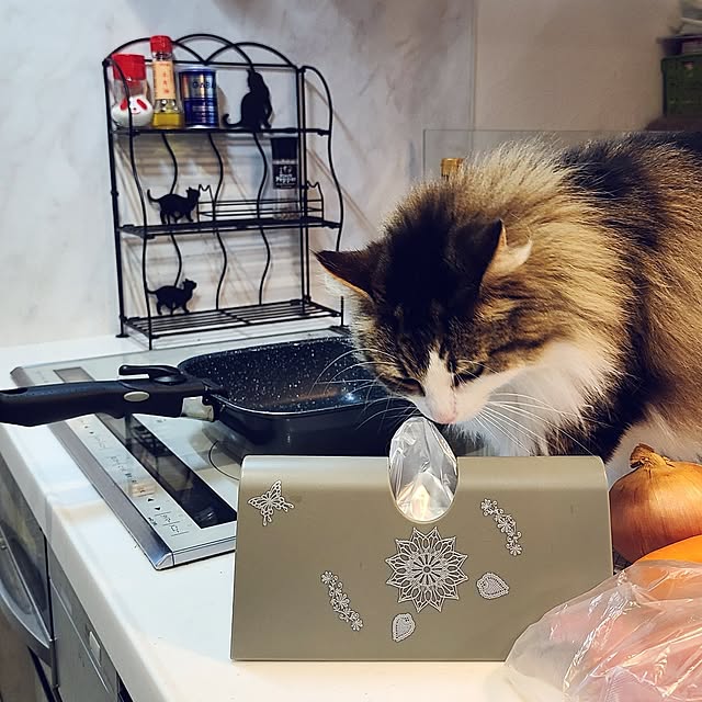 akiko6193さんの部屋