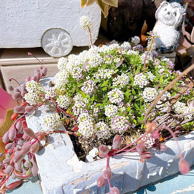 eriharuさんの部屋