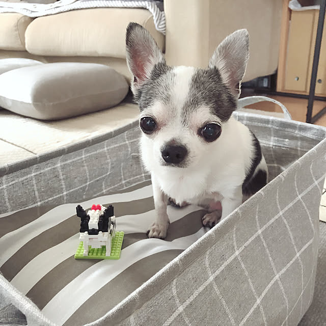 Emiさんの実例写真