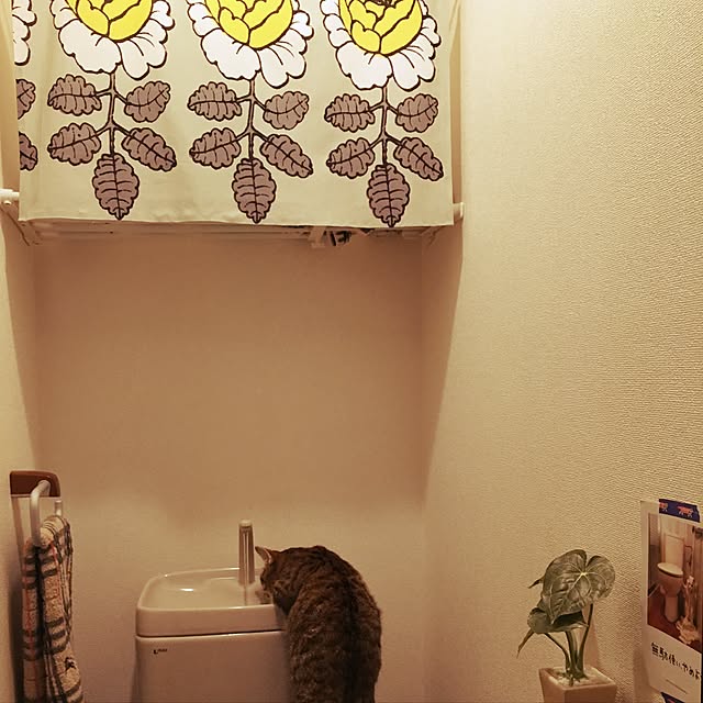 nono87さんの実例写真