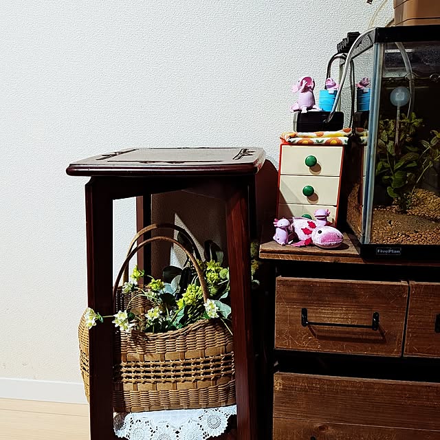 umeboshicyanさんの実例写真